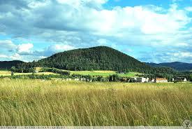 Mniszek